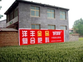 灵山如何让墙体广告展现最大化效果