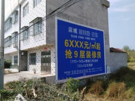 灵山墙体广告质量分析
